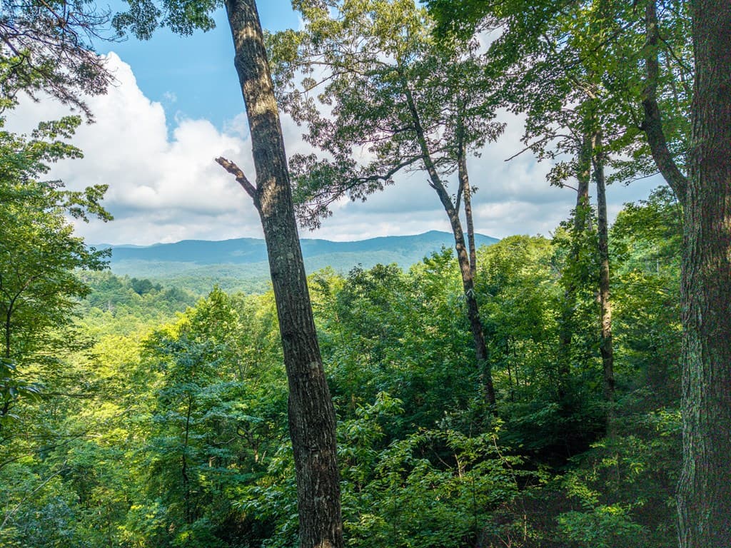 600 Cohutta Mountain Road, Blue Ridge GA 30513 - Photo