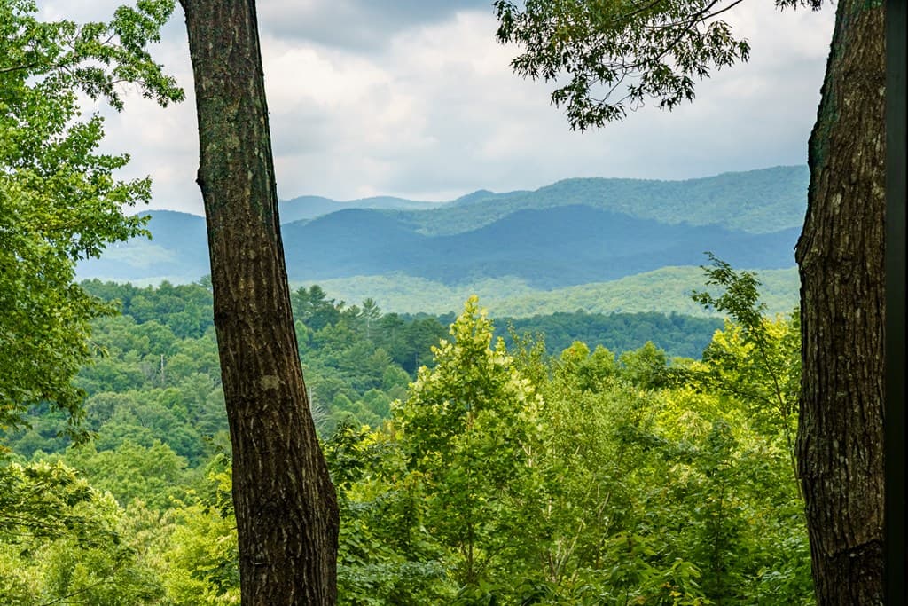 600 Cohutta Mountain Road, Blue Ridge GA 30513 - Photo