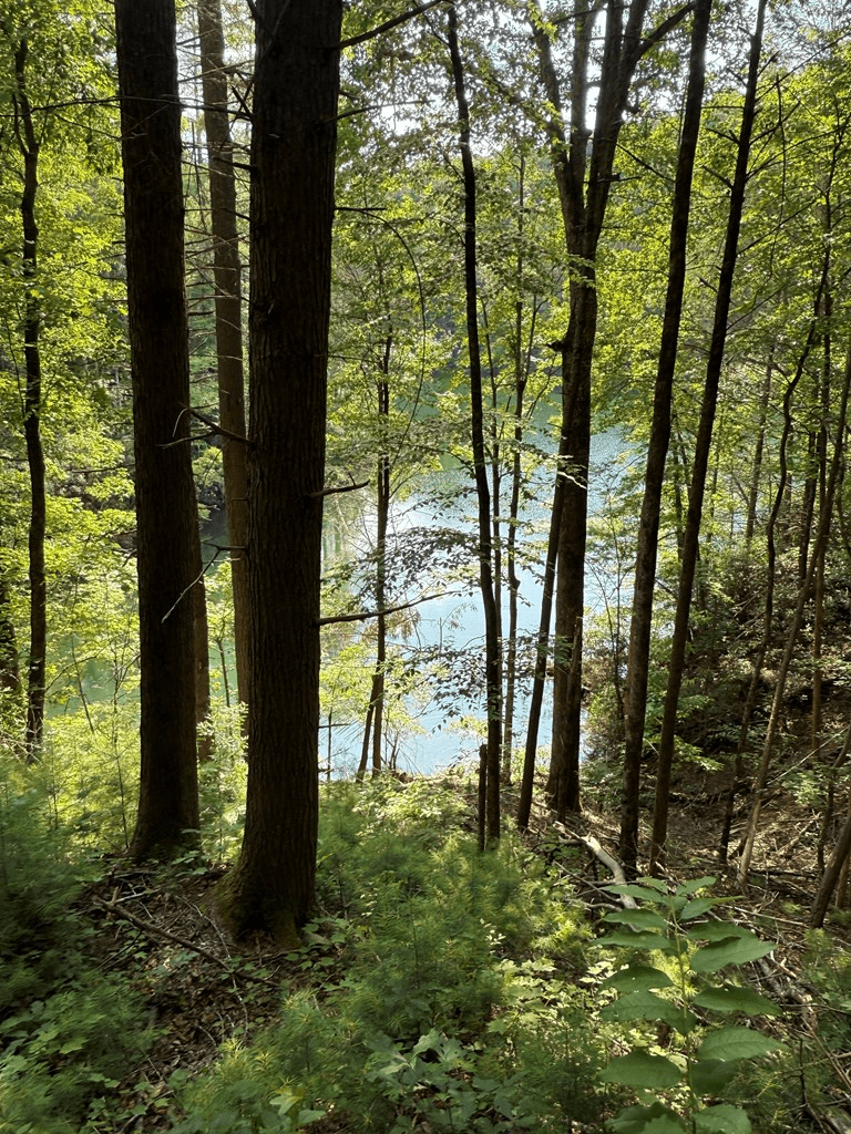 00 Berry Patch Road, Murphy NC 28906 - Photo