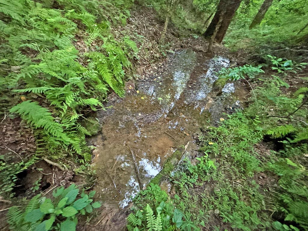 Lot 20 Mt. Springer Road, Ellijay GA 30540 - Photo