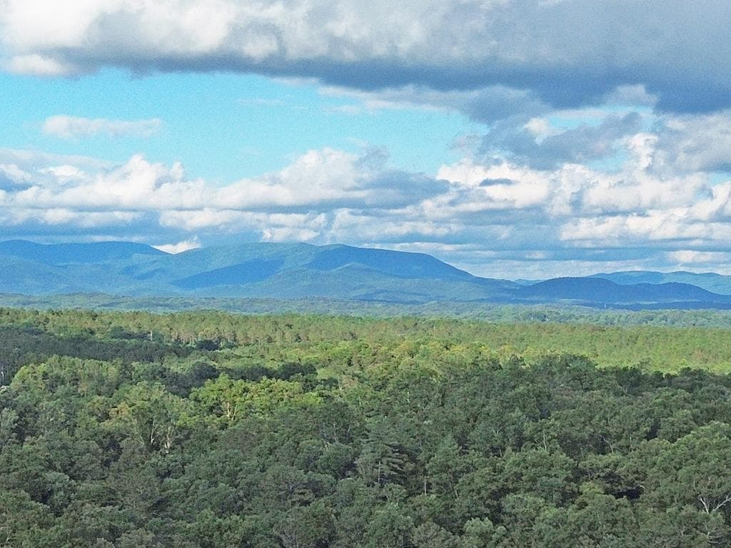 Lot 20 Mt. Springer Road, Ellijay GA 30540 - Primary photo