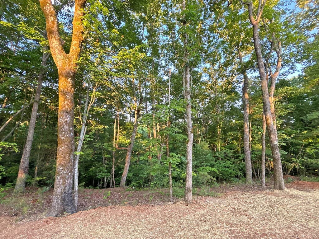 Lot 20 Mt. Springer Road, Ellijay GA 30540 - Photo
