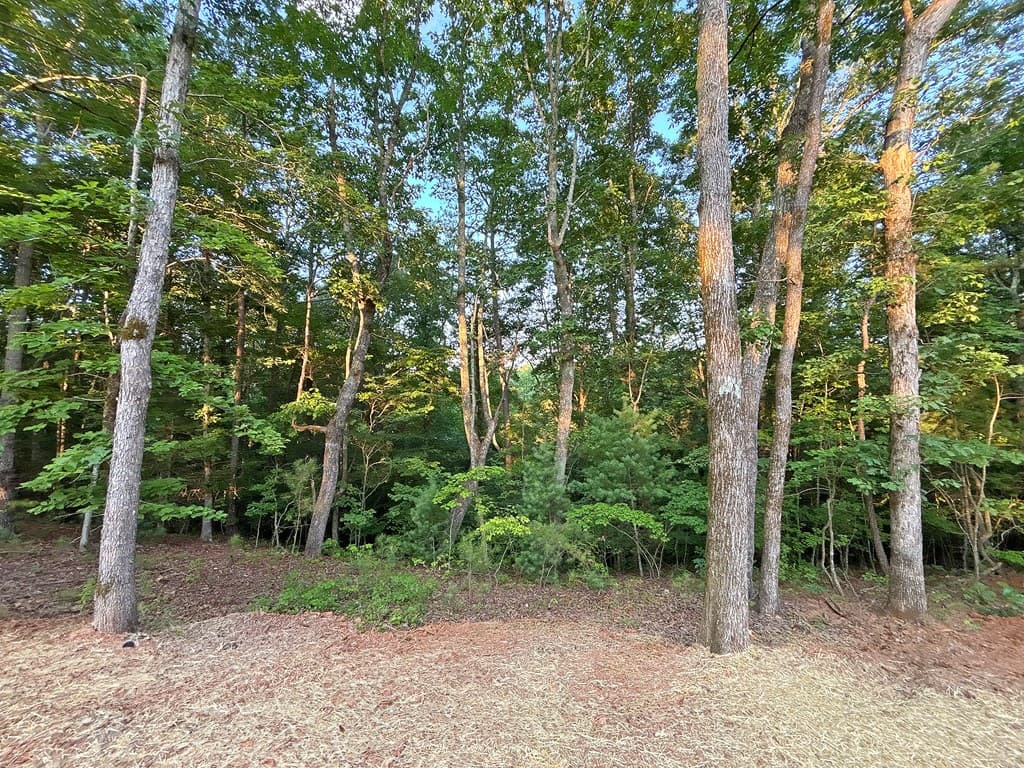 Lot 20 Mt. Springer Road, Ellijay GA 30540 - Photo