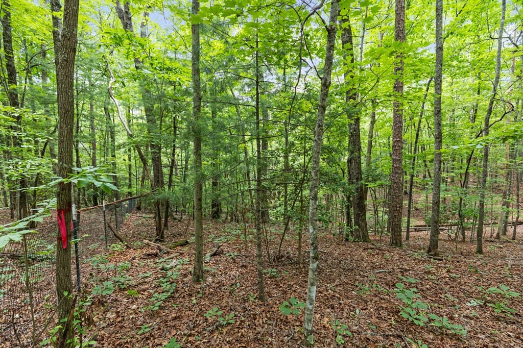0 Crawford Road, Mccaysville GA 30555 - Photo
