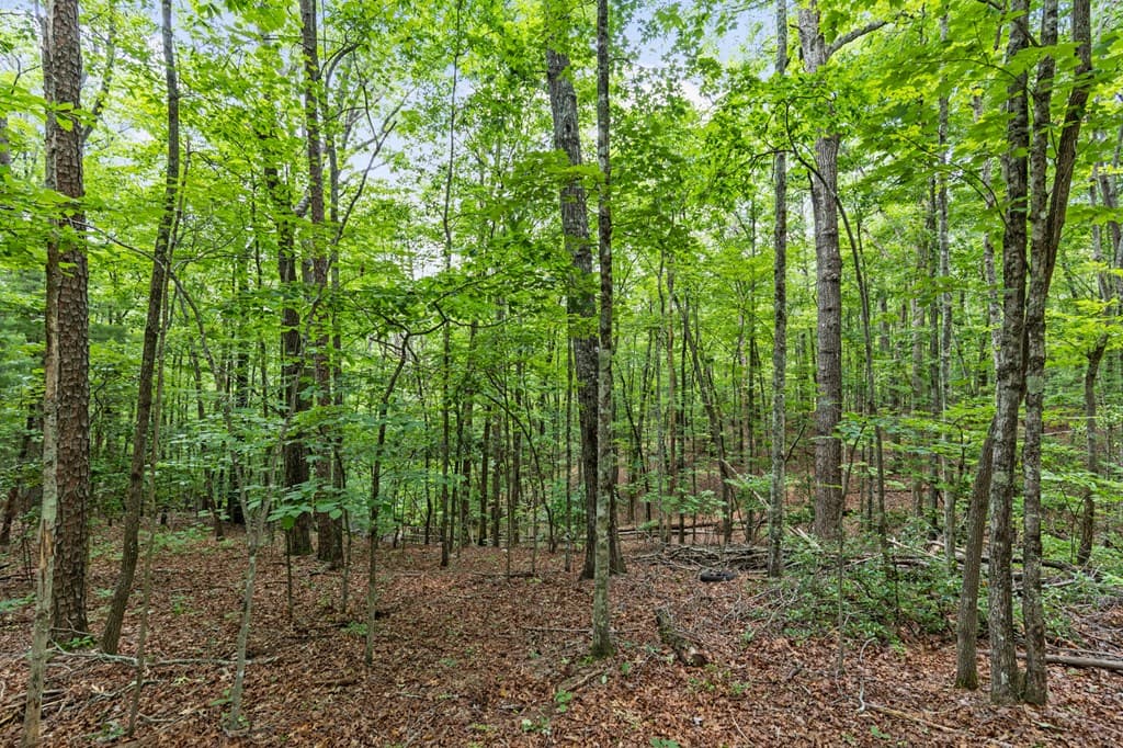 0 Crawford Road, Mccaysville GA 30555 - Photo