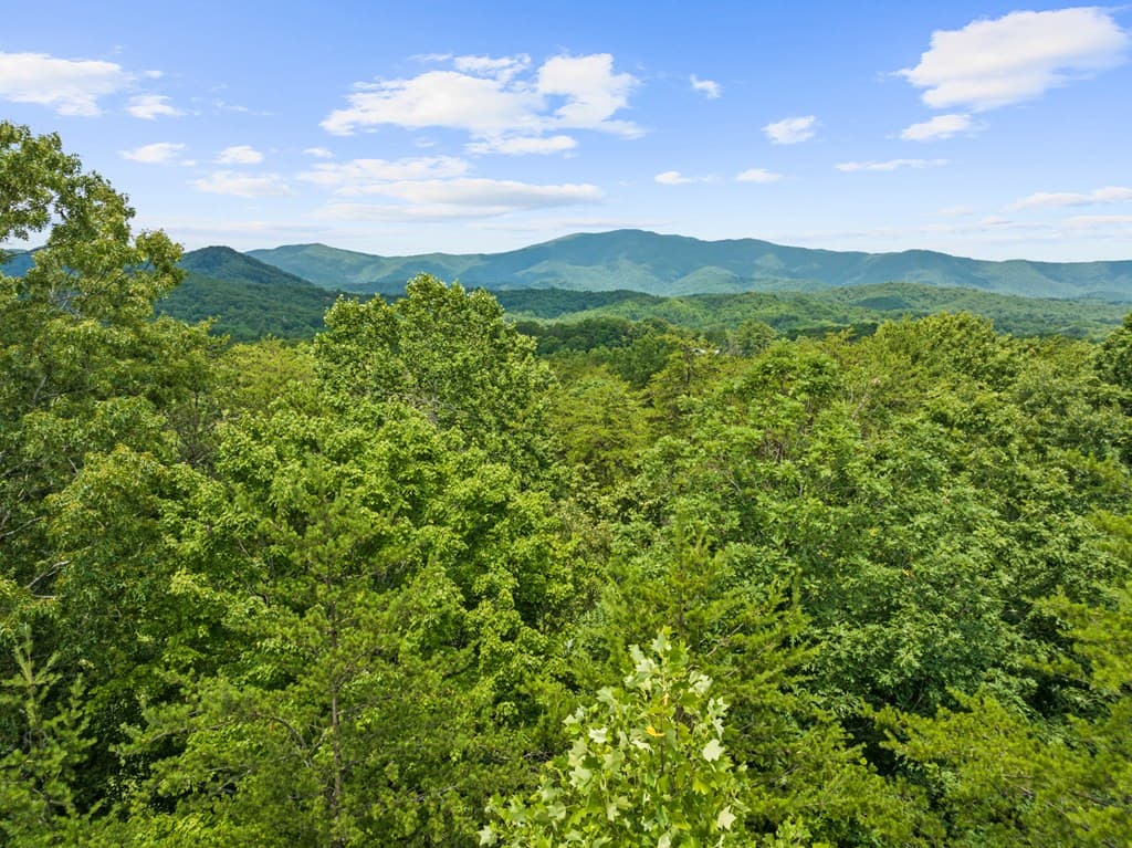 0 Crawford Road, Mccaysville GA 30555 - Photo
