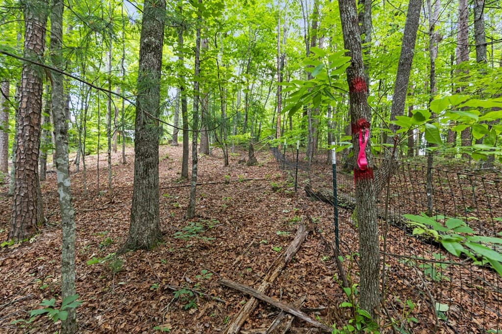 0 Crawford Road, Mccaysville GA 30555 - Photo