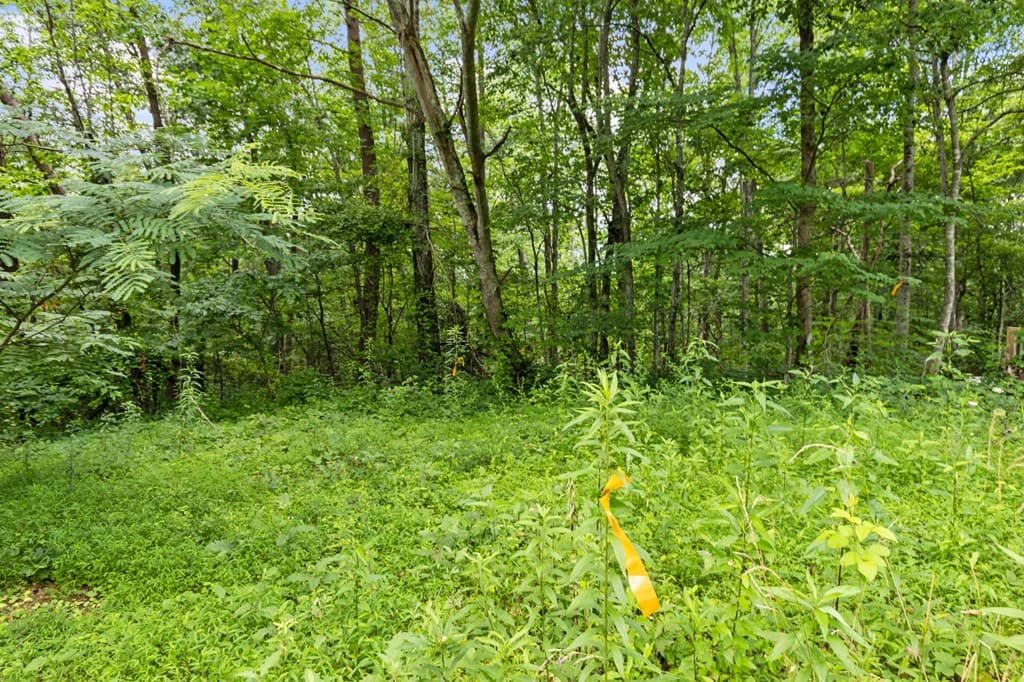 0 Crawford Road, Mccaysville GA 30555 - Photo