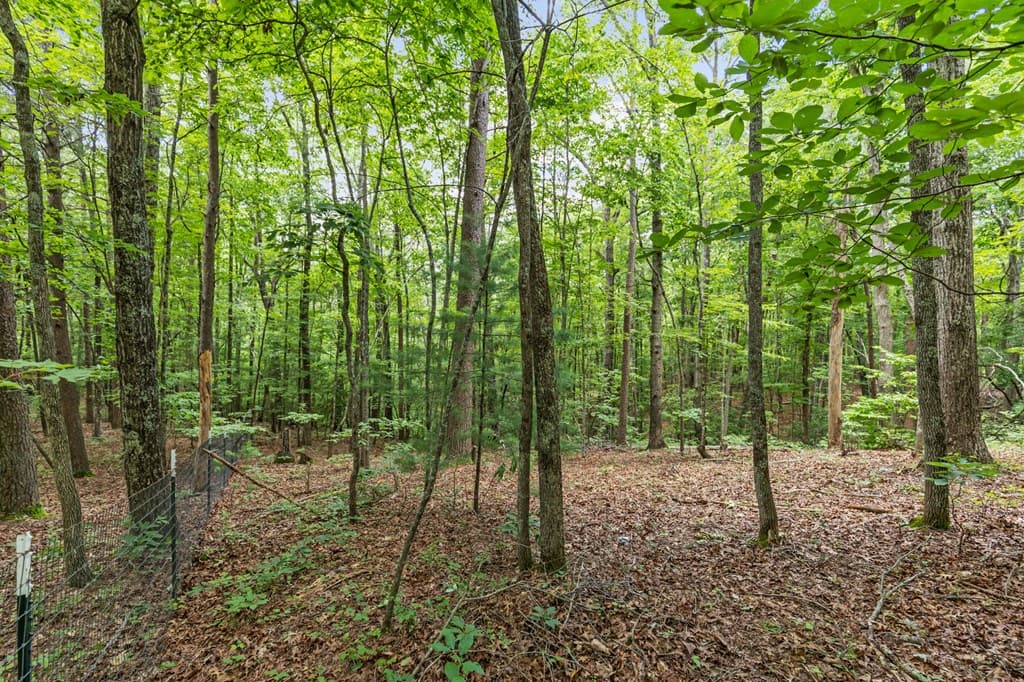 0 Crawford Road, Mccaysville GA 30555 - Photo
