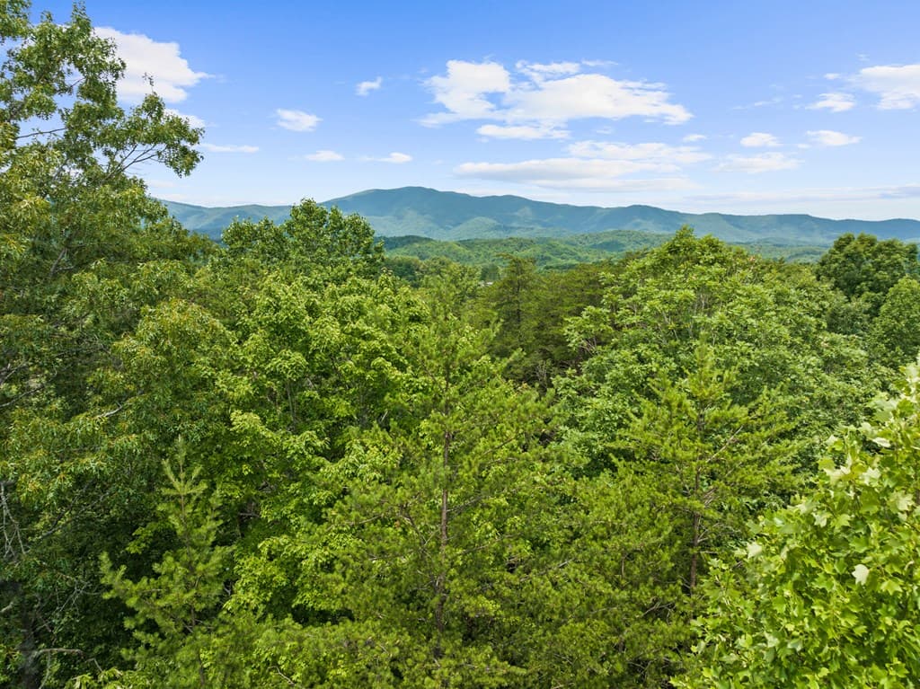 0 Crawford Road, Mccaysville GA 30555 - Photo