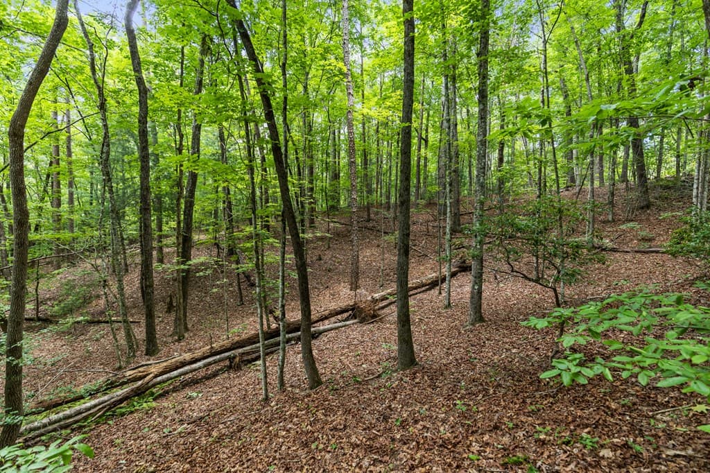 0 Crawford Road, Mccaysville GA 30555 - Photo