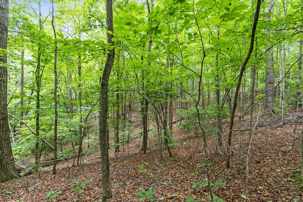 0 Crawford Road, Mccaysville GA 30555 - Photo
