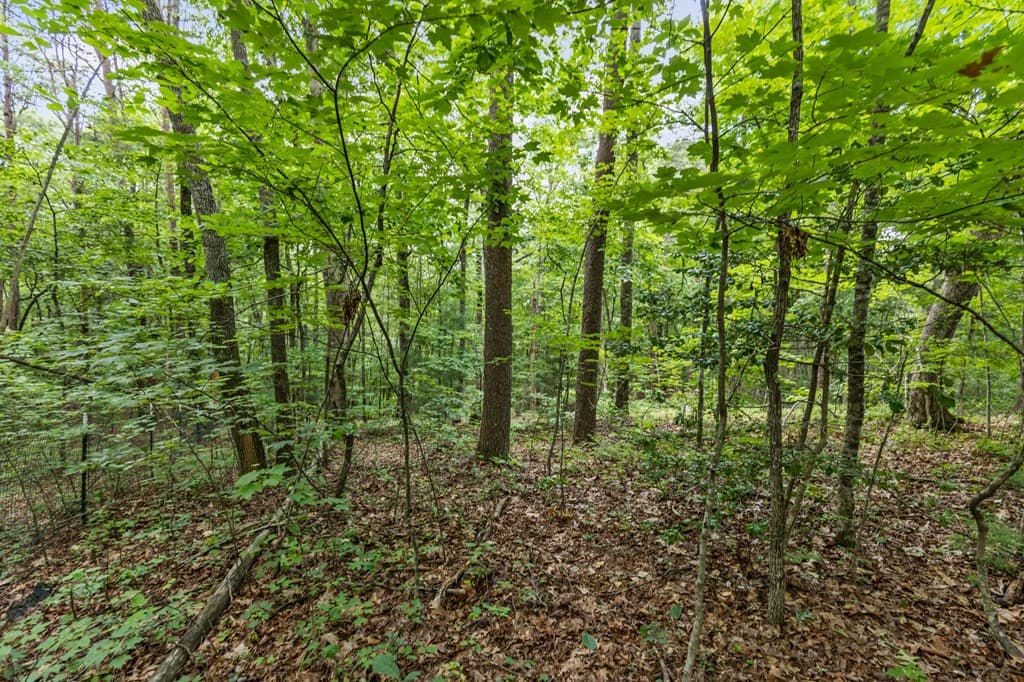 0 Crawford Road, Mccaysville GA 30555 - Photo