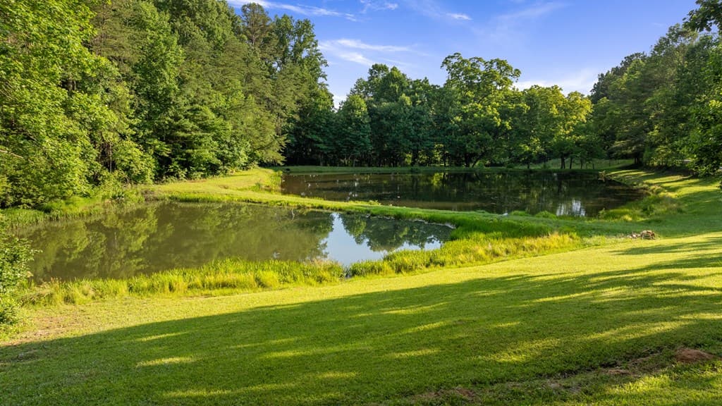 4275 Owltown Road, Ellijay GA 30536 - Photo