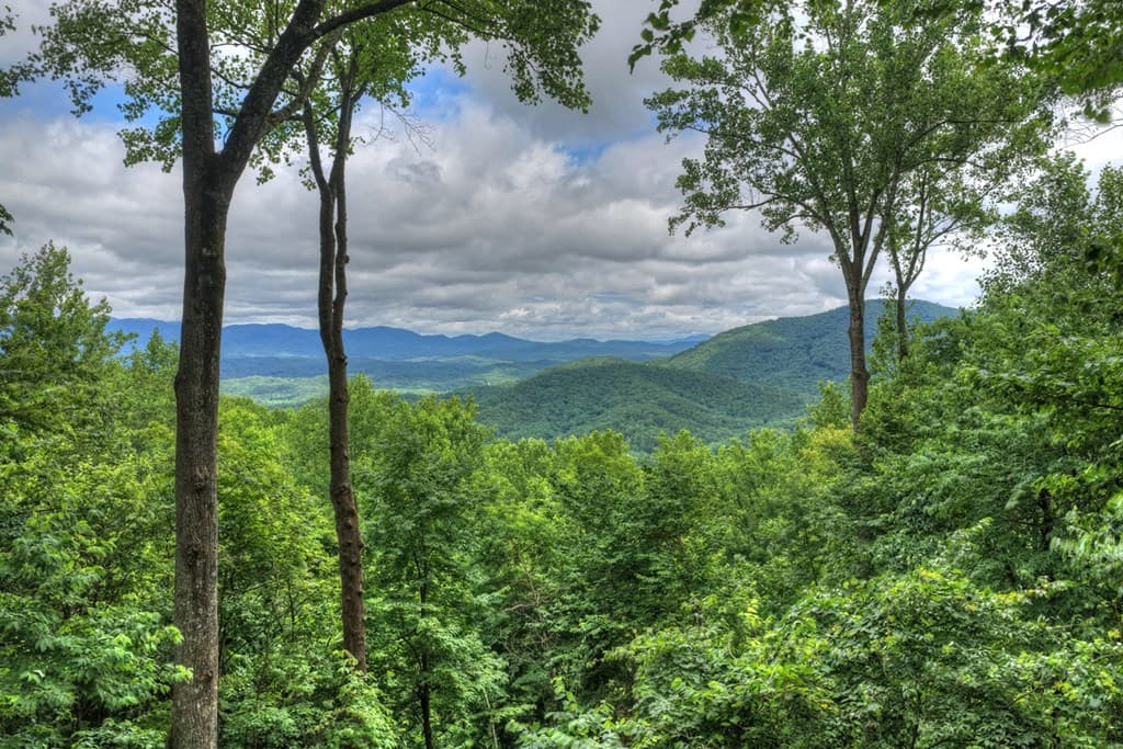 161 Walnut Ridge, Ellijay GA 30536 - Photo