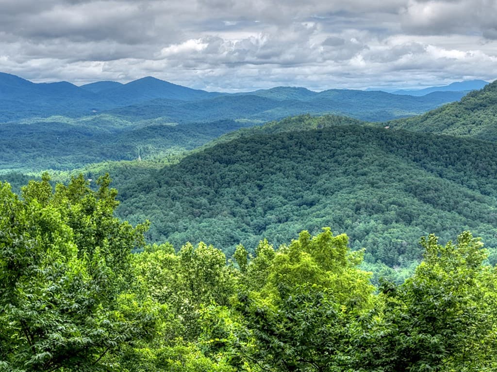 161 Walnut Ridge, Ellijay GA 30536 - Photo