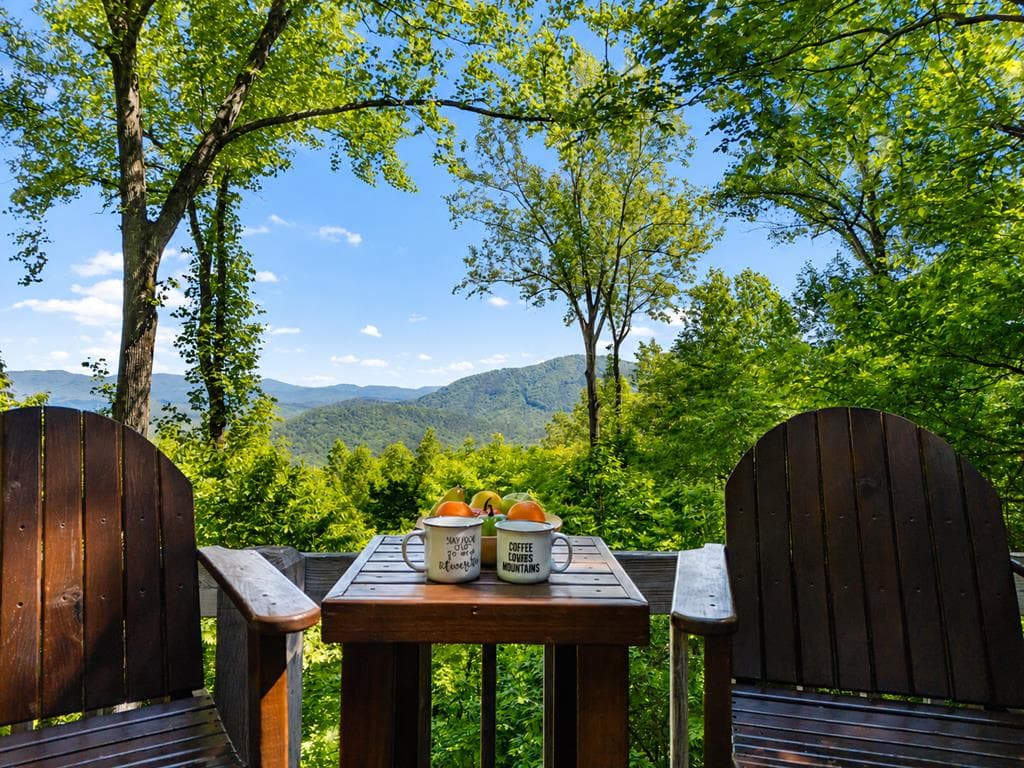 161 Walnut Ridge, Ellijay GA 30536 - Photo