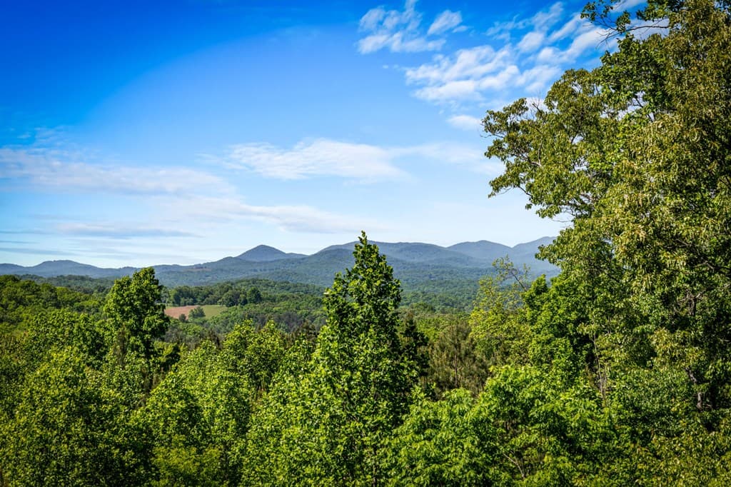 479 Big Timber Road, Mineral Bluff GA 30559 - Photo