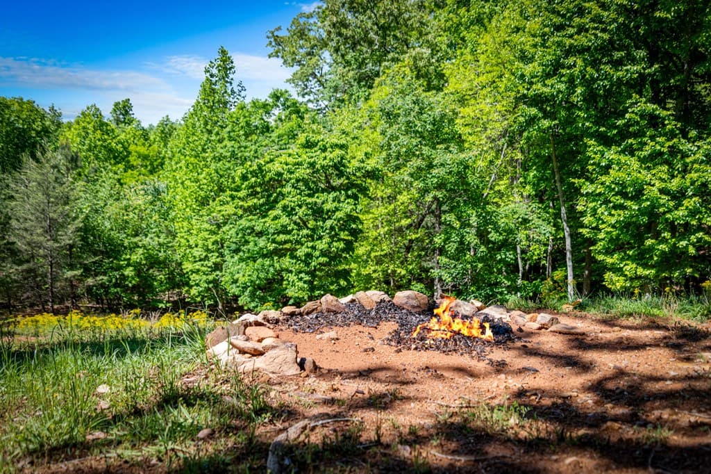 479 Big Timber Road, Mineral Bluff GA 30559 - Photo