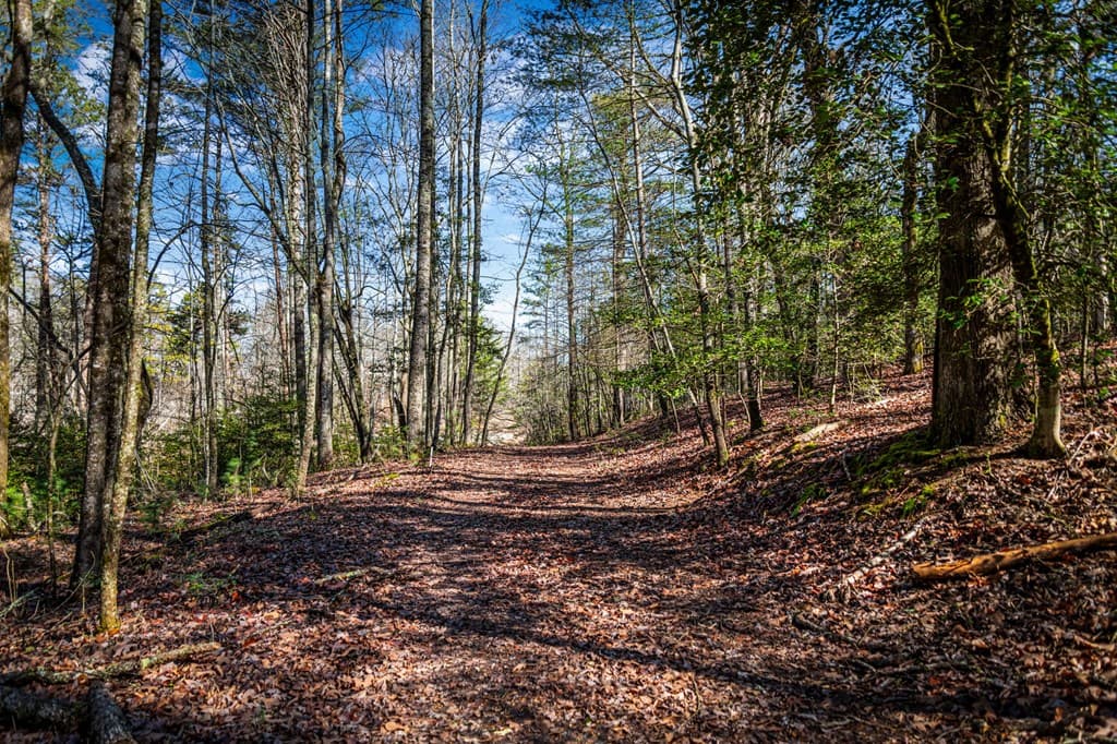 102 Captains Cove, Blairsville GA 30512 - Photo