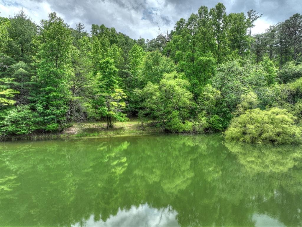 102 Captains Cove, Blairsville GA 30512 - Photo