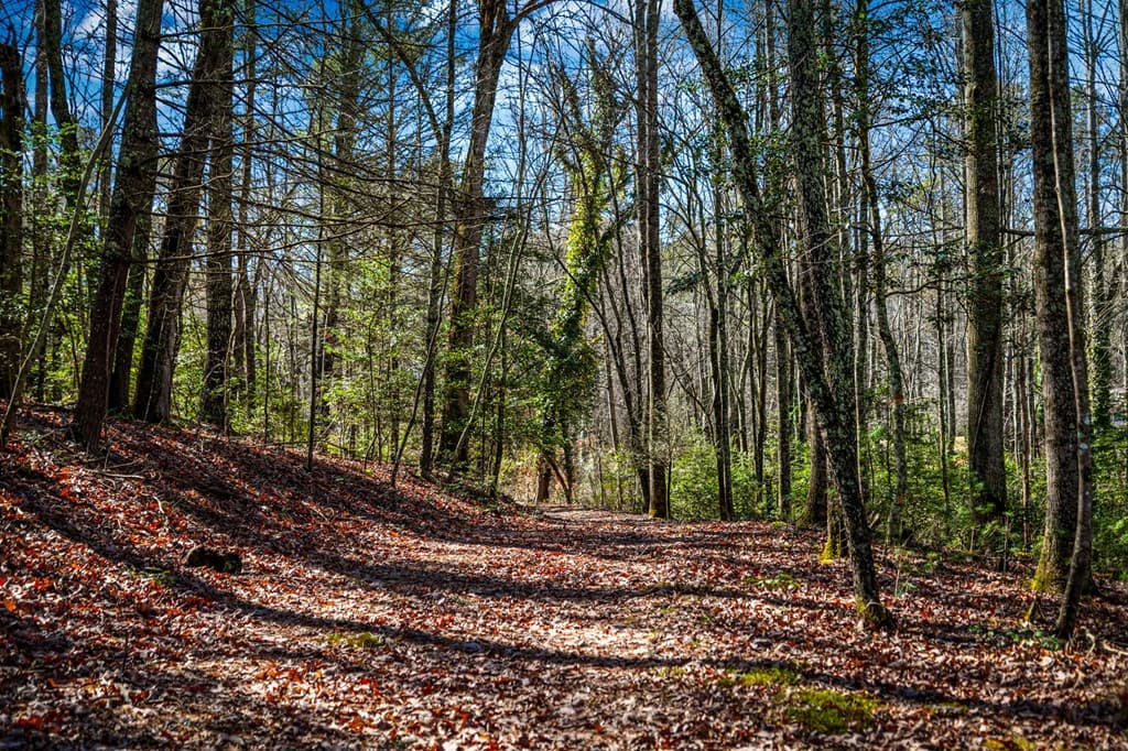 102 Captains Cove, Blairsville GA 30512 - Photo