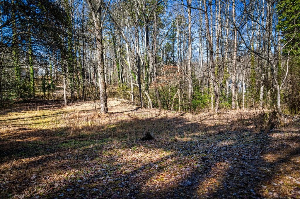 Tract B Captains Cove, Blairsville GA 30512 - Photo