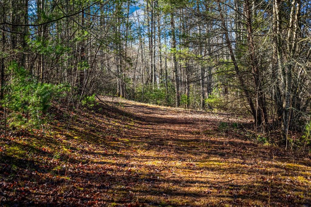 Tract B Captains Cove, Blairsville GA 30512 - Photo