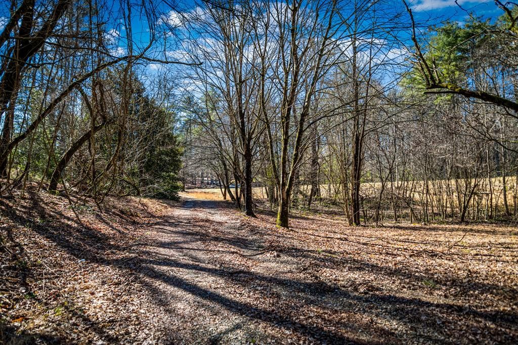 Tract B Captains Cove, Blairsville GA 30512 - Photo