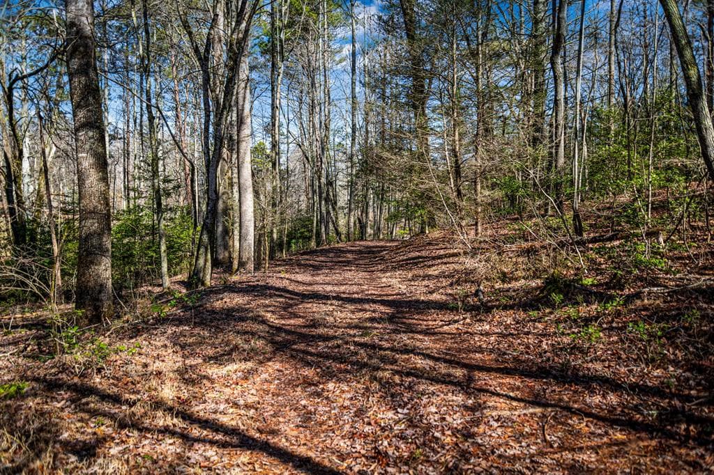Tract C Captains Cove, Blairsville GA 30512 - Photo