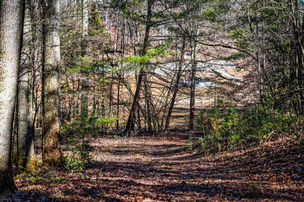 Tract C Captains Cove, Blairsville GA 30512 - Photo