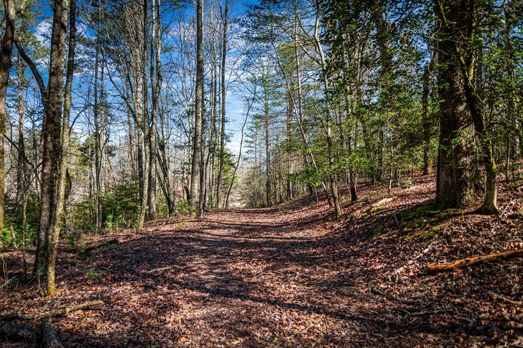 Tract C Captains Cove, Blairsville GA 30512 - Photo