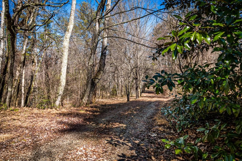 Tract C Captains Cove, Blairsville GA 30512 - Photo