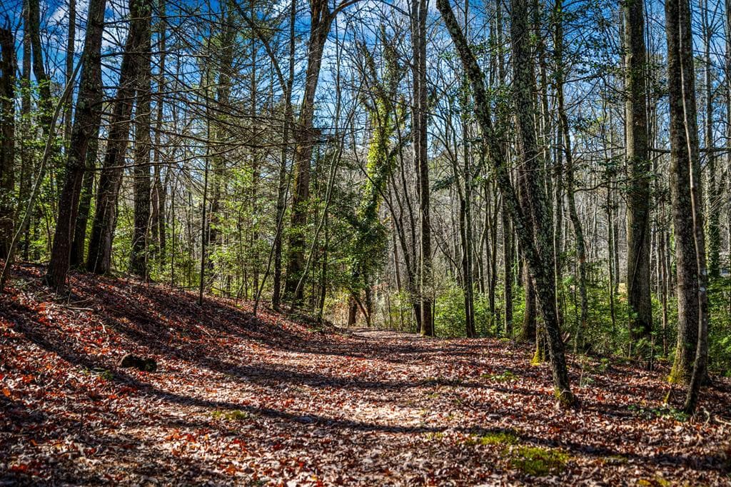 Tract C Captains Cove, Blairsville GA 30512 - Photo