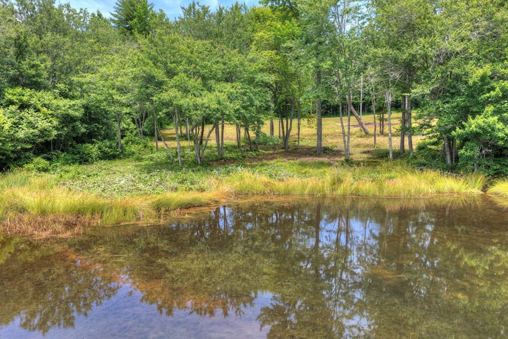 00 Campbell Cove Road, Turtletown TN 37391 - Photo