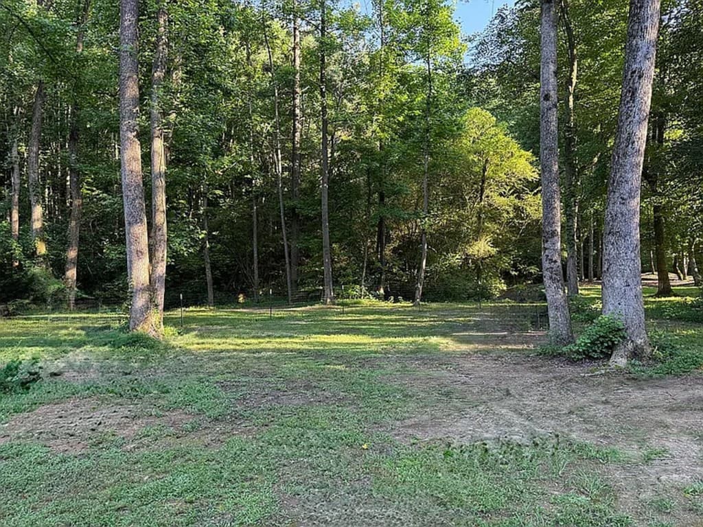 52 Hickory Ridge Drive, Ellijay GA 30536 - Photo