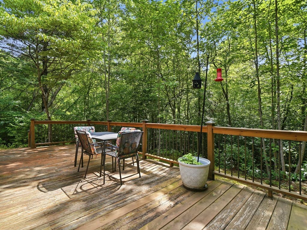27 Two Cedars Road, Morganton GA 30560 - Photo
