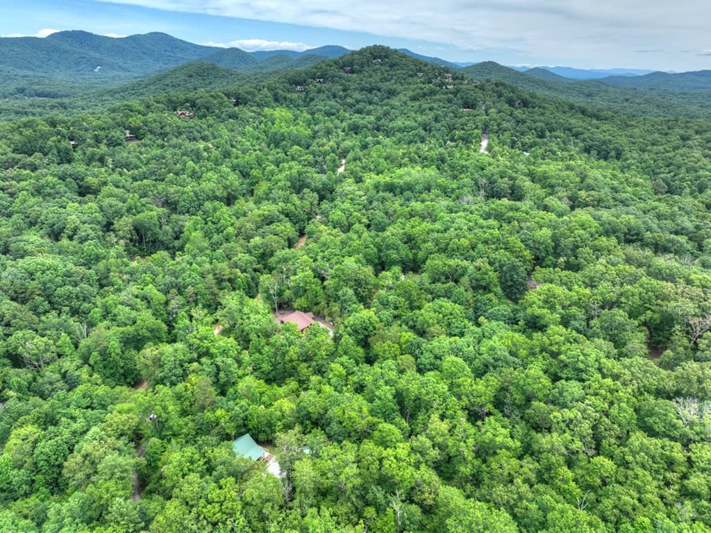 295 Ross Drive, Mineral Bluff GA 30559 - Photo