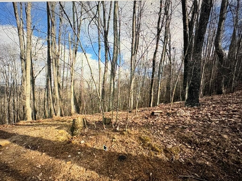 LOT 7C Timber Bend, Blairsville GA 30512 - Primary photo