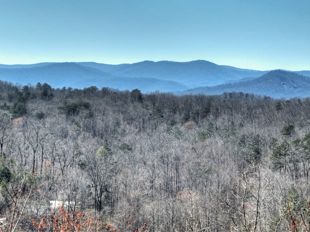 195 Trina Lane, Blue Ridge GA 30513 - Photo