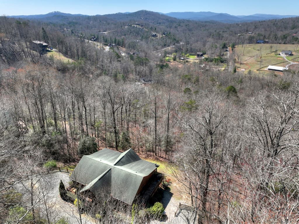 195 Trina Lane, Blue Ridge GA 30513 - Photo