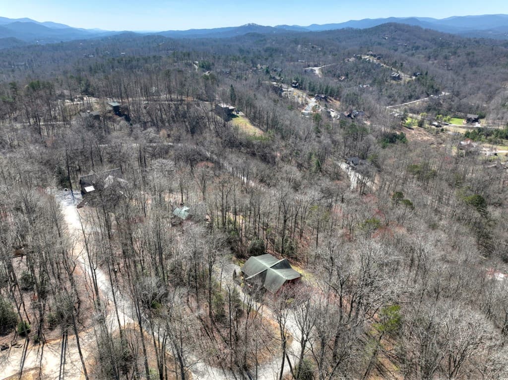 195 Trina Lane, Blue Ridge GA 30513 - Photo
