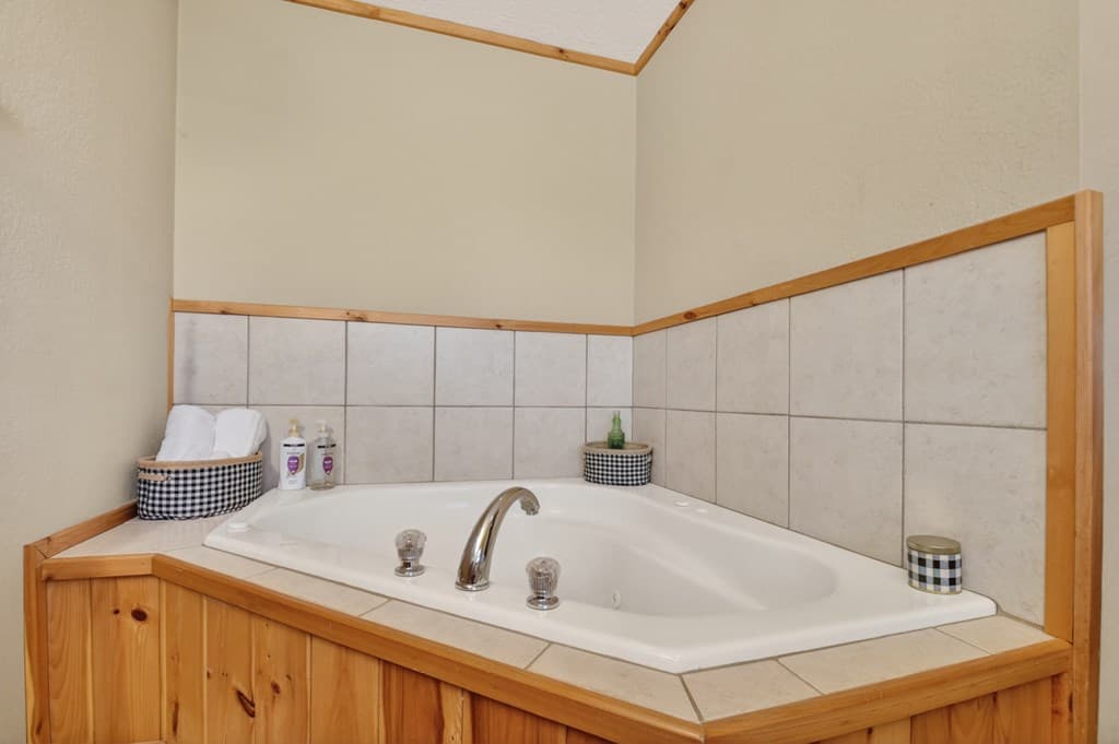 195 Trina Lane, Blue Ridge GA 30513 - Photo