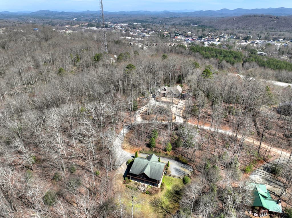 195 Trina Lane, Blue Ridge GA 30513 - Photo