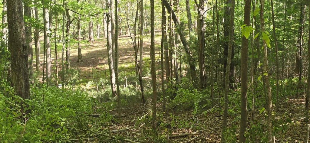 Lot 3-4 Scouts Overlook Lane, Morganton GA 30560 - Photo