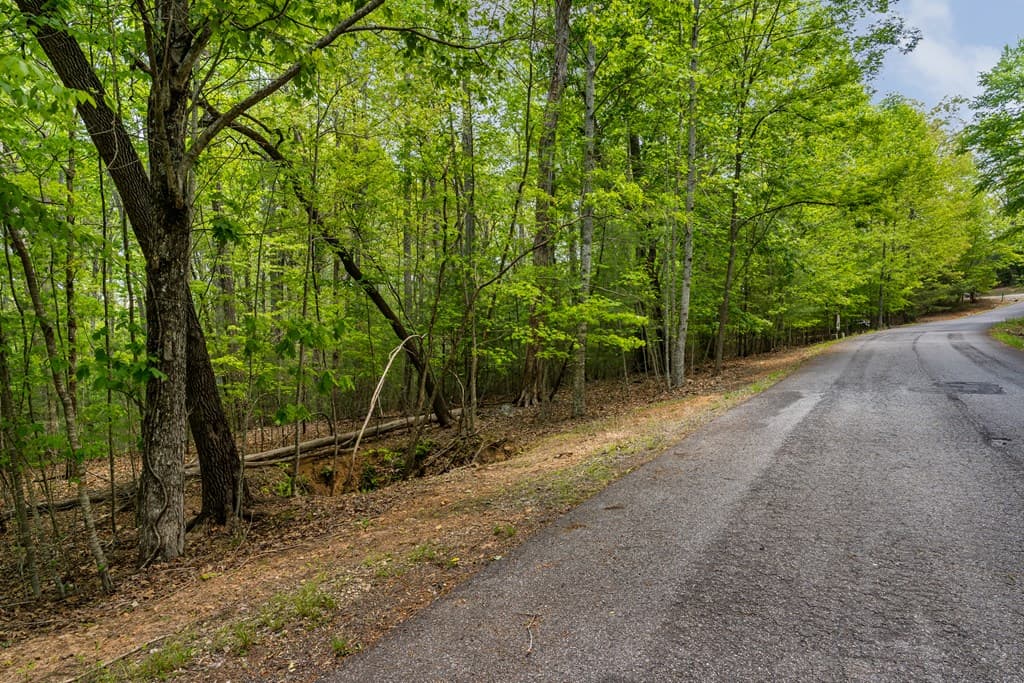 Lot 3-4 Scouts Overlook Lane, Morganton GA 30560 - Photo
