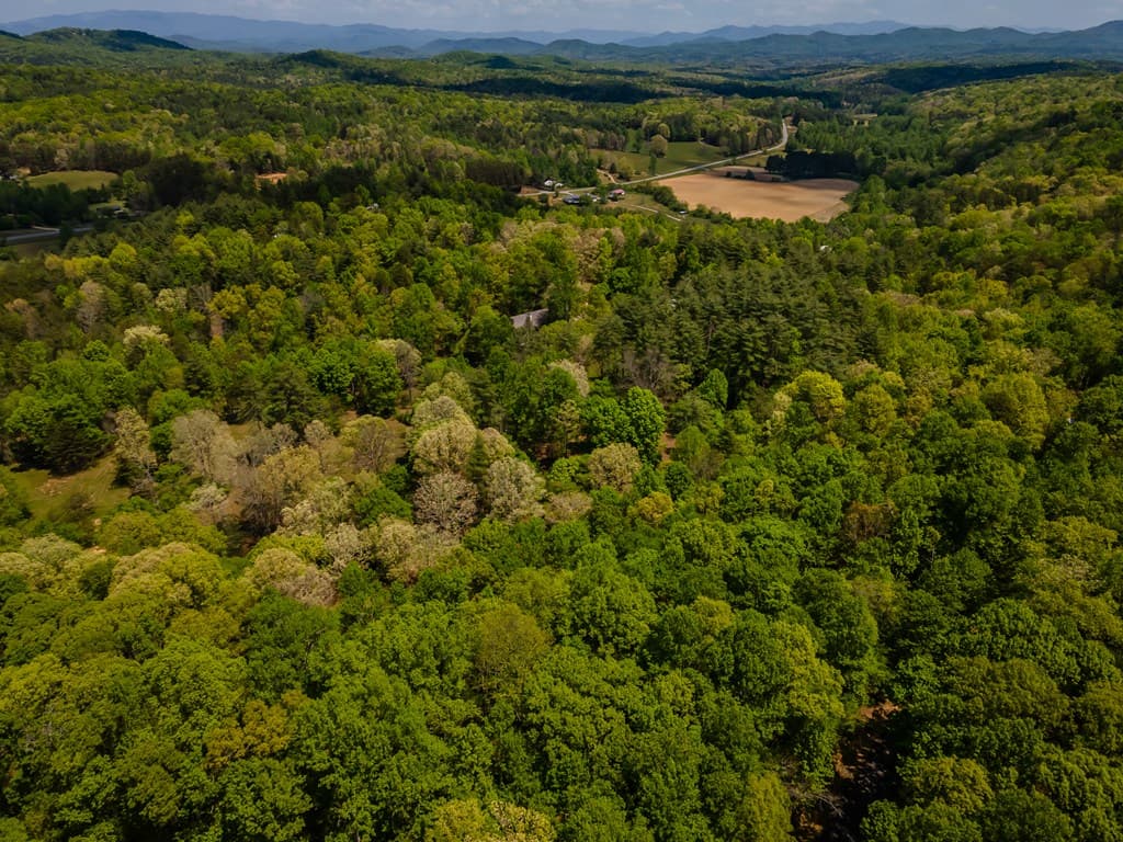 Lot 3-4 Scouts Overlook Lane, Morganton GA 30560 - Photo