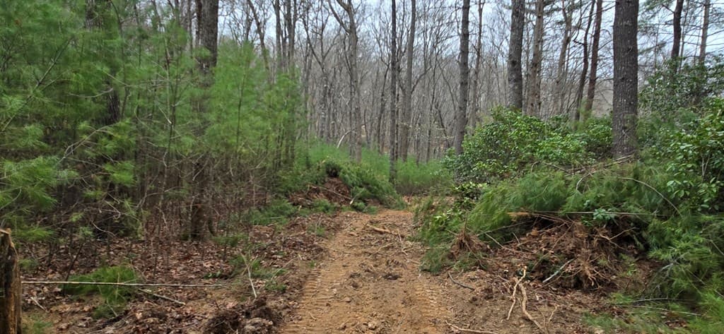 Lot 3-4 Scouts Overlook Lane, Morganton GA 30560 - Photo