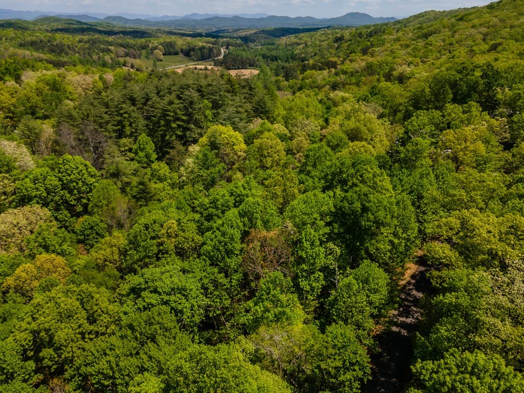 Lot 3-4 Scouts Overlook Lane, Morganton GA 30560 - Photo