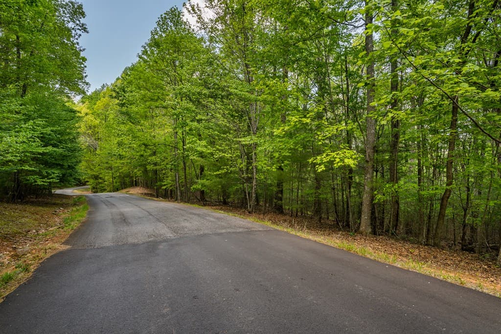 Lot 3-4 Scouts Overlook Lane, Morganton GA 30560 - Photo